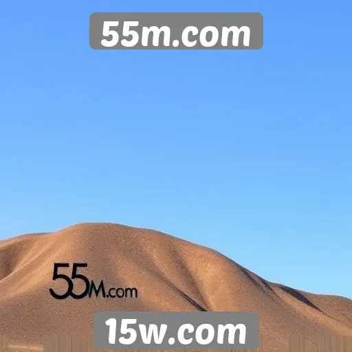 Feedback dos usuários sobre a experiência no 55m.com